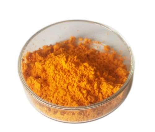 姜黃提取物/ Turmeric Extract